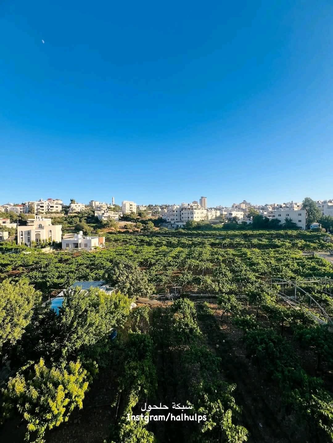 الخليل | موسوعة القرى الفلسطينية